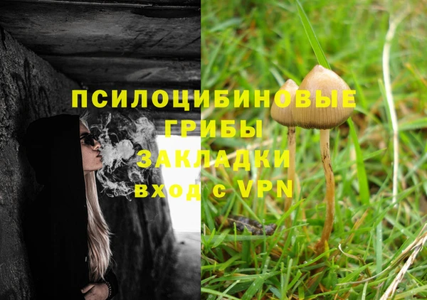 мескалин Инта