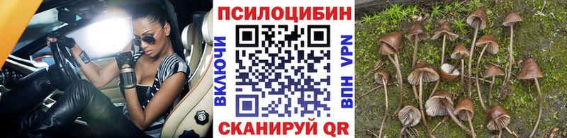 Купить закладки  Радужный  Псилоцибиновые грибы GOLDEN TEACHER 